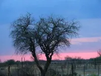 Eldorado Guest House & Camping Hotels in Ombika