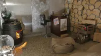Chambres d'Hotes A l'Ombre du Saule