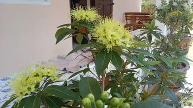 รูปภาพของซี เกสต์เฮาส์