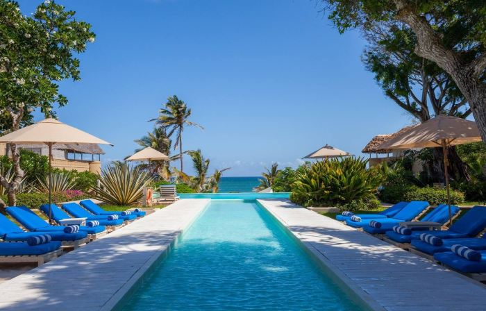 Medina Palms