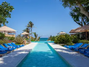 Medina Palms