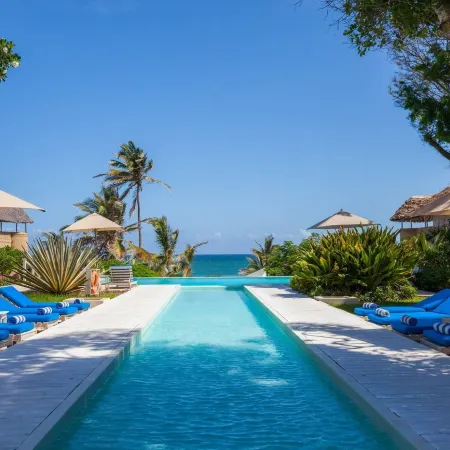 Medina Palms