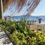 Pitos Bungalows Hotels in Akyarlar Mahallesi