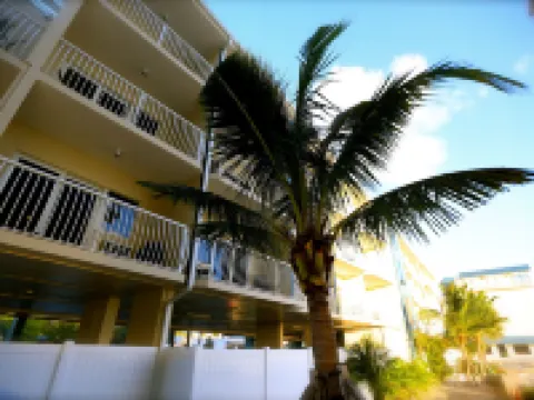 Shoreline Island Resort - Exclusively Adult Hotels in Madeira Beach