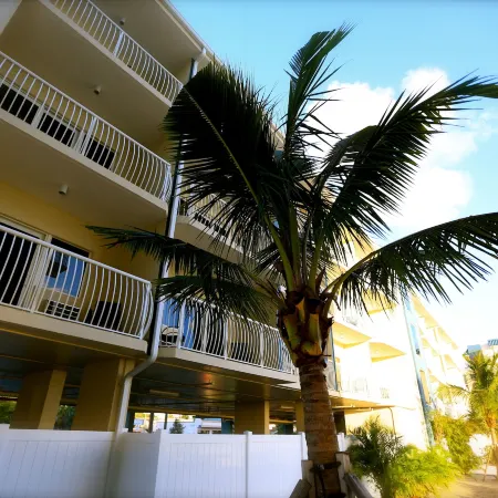 Shoreline Island Resort - Exclusively Adult