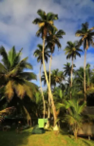 Beyin Eco Beach Camp Hotels in 