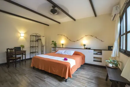 Hotel Patio del Malinche Отели в г. Гранада