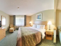 Comfort Inn Morris I-80 Hotels in Morris