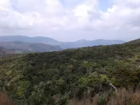 파나타 홀리데이 홈