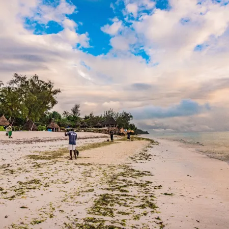 Pongwe Beach Hotel