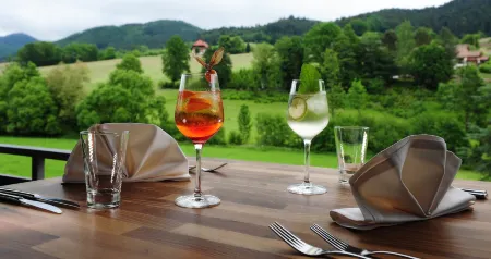 Hotel Fuxxbau Отели в г. Хаслах