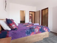 Apartments Lile Hotels in Brela