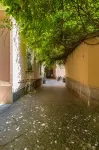 Unico Relais - Хоумстей