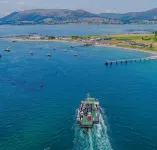 Cosy Barn Conversion in the Mournes