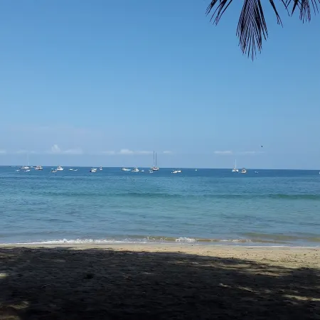 Hotel la Palapa