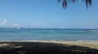 Hotel la Palapa - Sea View
