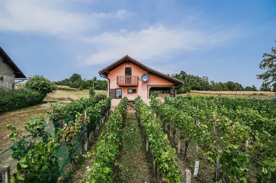 Holiday Home Vesna with Sauna