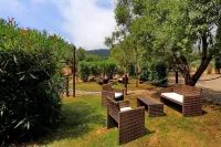 Pimpinnacolo 1 - 1Br M2