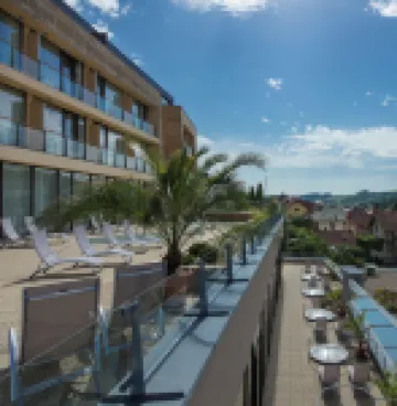Alexandria Spa & Wellness Hotel - Bares