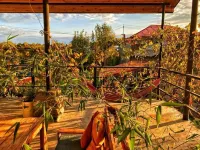 Varga Kvareli Hotels in 
