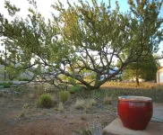 The Historic Clarkdale Lodge: Lovely, Self-contained Apartments Hotels in Clarkdale