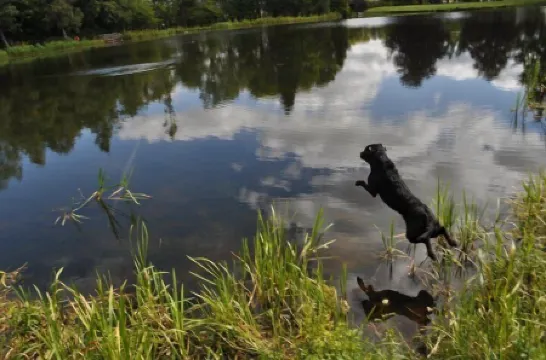 Gleneagles Holiday Apartment - Guthrie Court