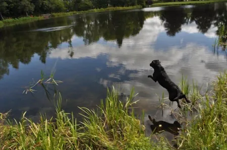 Gleneagles Holiday Apartment - Guthrie Court