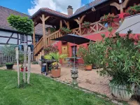 Gîte Irrkrut Avec Terrasse et Jardin Clôturé Hotels in Albé