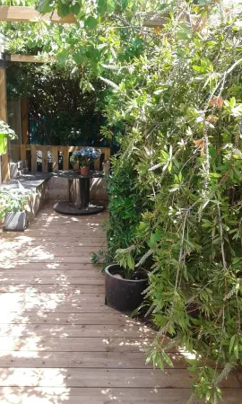 T1 apartment for weekly rental (60m2) Méze 15 "from Balaruc and Sete