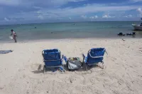 Casa De Namaste- Relaxing 1 Br Condo near Playa's best Beaches & 5th Ave!