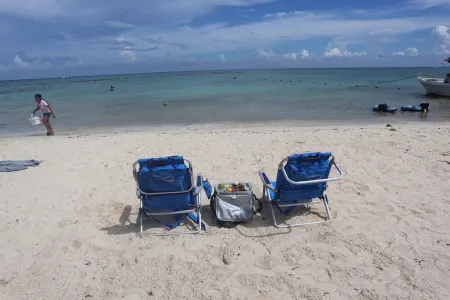 Casa De Namaste- Relaxing 1 Br Condo near Playa's best Beaches & 5th Ave!