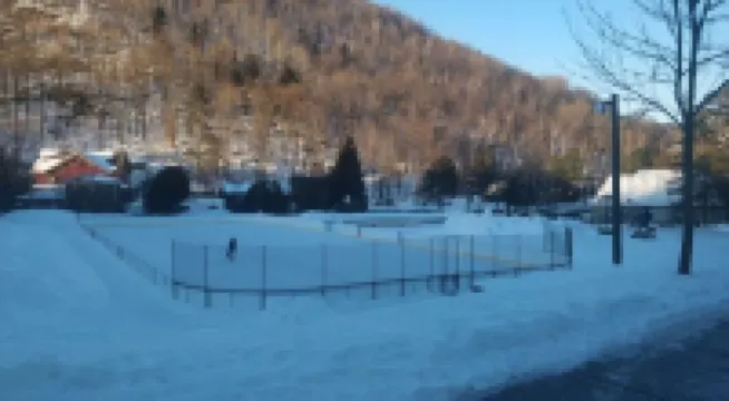 Le C17: Cozy Condo in Historic Village 6 Minutes from the Ski Base!