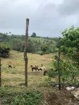 The Ranch At La Joya is a three bedroom modern farm house at Tres Palmas Estates