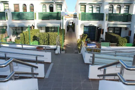 Dune green flower Maspalomas