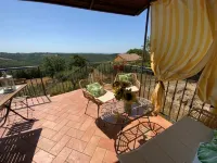 The houses of the NOT time