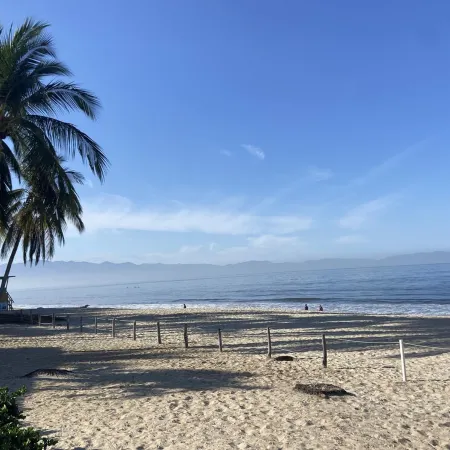 A pool and a beach… What else do you need? Check out my REVIEWS! GREEN!
