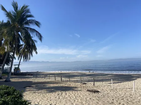 A pool and a beach… What else do you need? Check out my REVIEWS! GREEN!