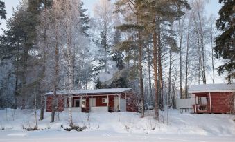 Hiekkarannanlomat