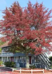 Red Horse Inn