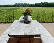 Erve 't Hacht Hotels in Hollandscheveld