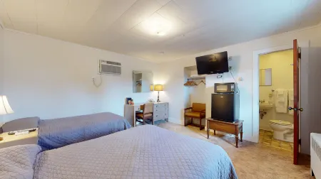 Circle Court Motel Отели в г. Тикондерога