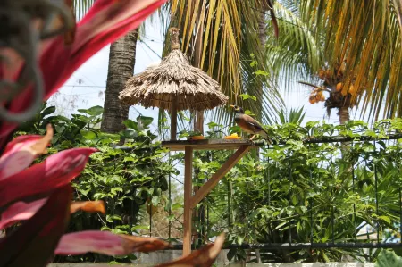 Auberge Miko Отели в г. Фон дю Сак