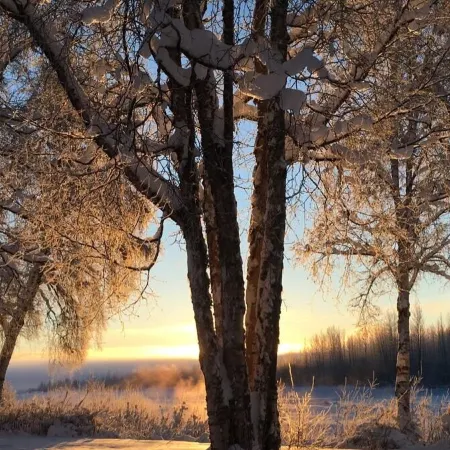 Backwoods Cabins at Susitna River Lodge