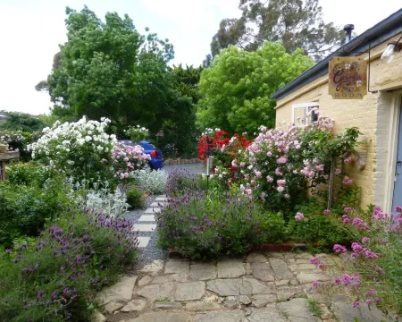 The Globe Inn Hotels in Yass