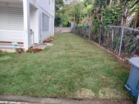 Best Location, Caribbean views, Off street parking, walk everywhere.