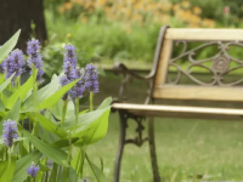 Golden Stage Inn Hotels in Cavendish