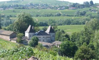 Logis Hotel des Grands Vins