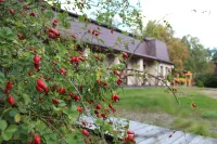 Dom Ryibolova Mini-Hotel Hotels near Curonian Spit