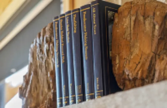 엘크 로지 캐빈, 4명 숙박 가능!