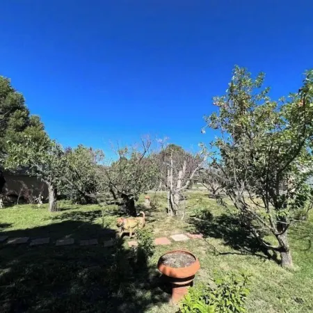 Home on the mesa’s edge the Proverbial Million Dollar View, jacuzzi and orchard